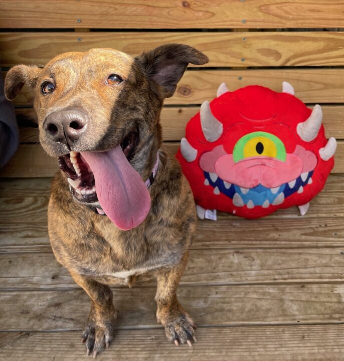dog smiling next to red plush cacodemon inspired by DOOM franchise